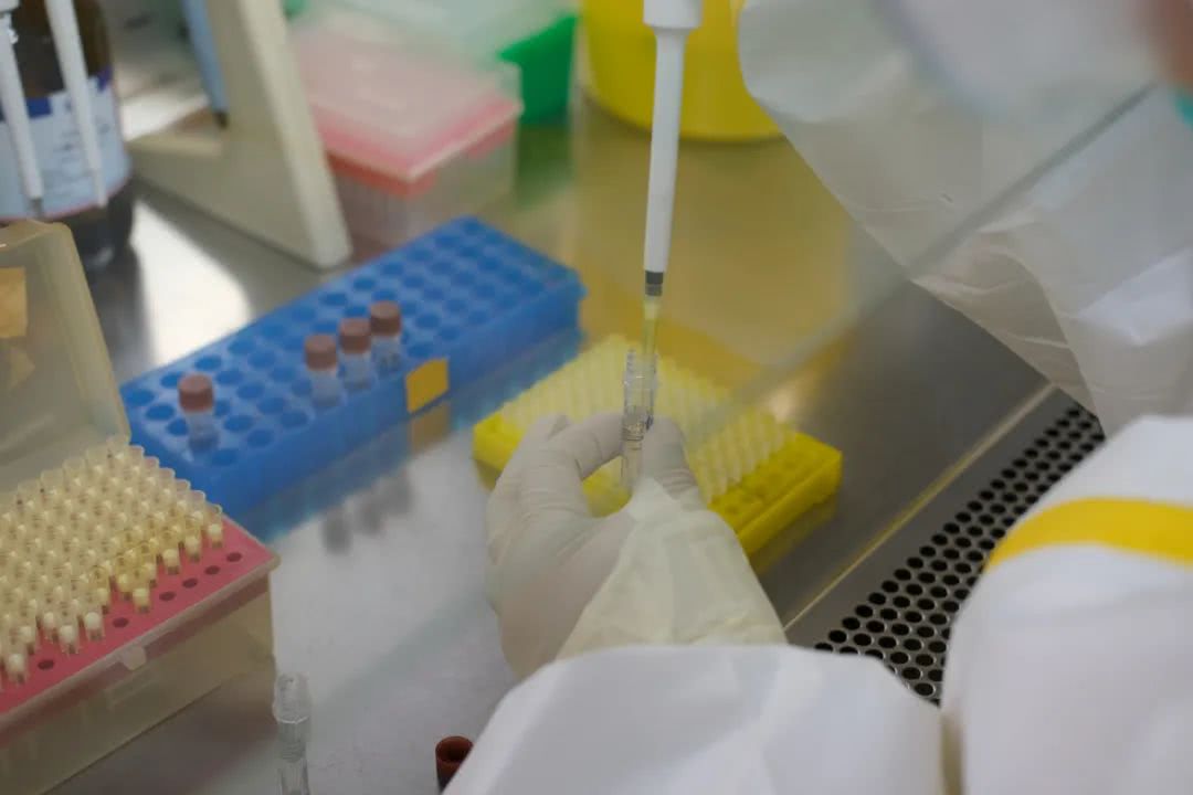 核酸檢測又降價(jià)！多地增設(shè)24小時(shí)檢測服務(wù)機(jī)構(gòu)